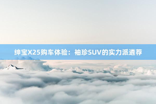 绅宝X25购车体验：袖珍SUV的实力派遴荐