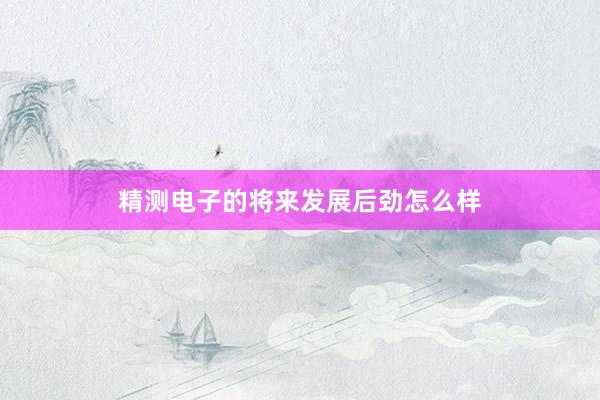 精测电子的将来发展后劲怎么样